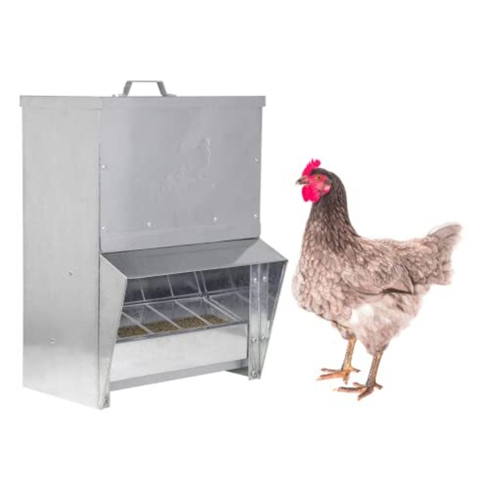 RentACoop, 25 Lb Galvanized Metal Trough Feeder, Weatherproof with Rain Hood, Mountable, Model# MT-25LB-FEDR
